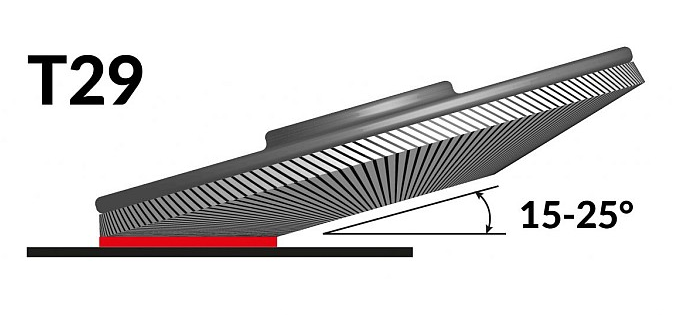 T29